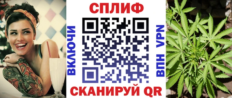 A-PVP Котлас
