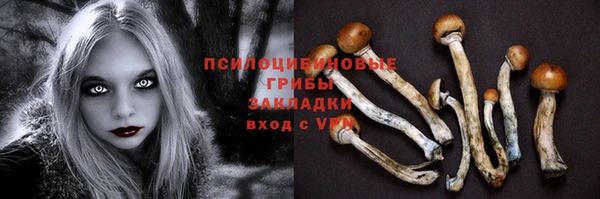 мет Алзамай