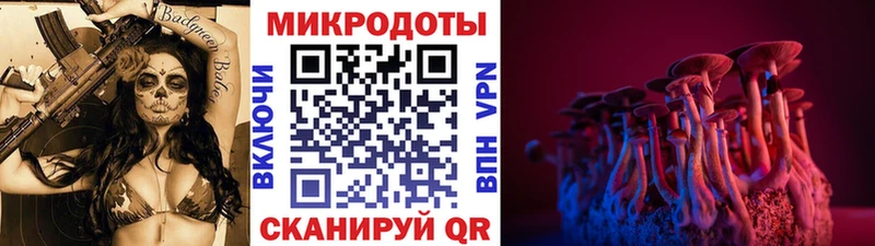 Псилоцибиновые грибы MAGIC MUSHROOMS  Котлас 